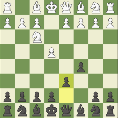 French Defence 1.e4 e6: Second Edition - Chess Opening Games