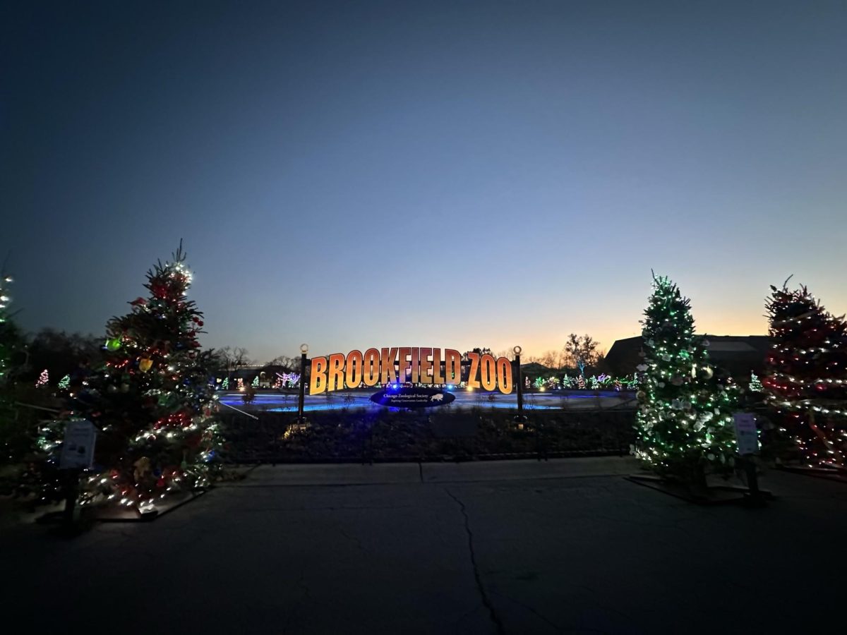 Brookfield zoo sign near the south gate lit up and surrounded by decorated Christmas trees.