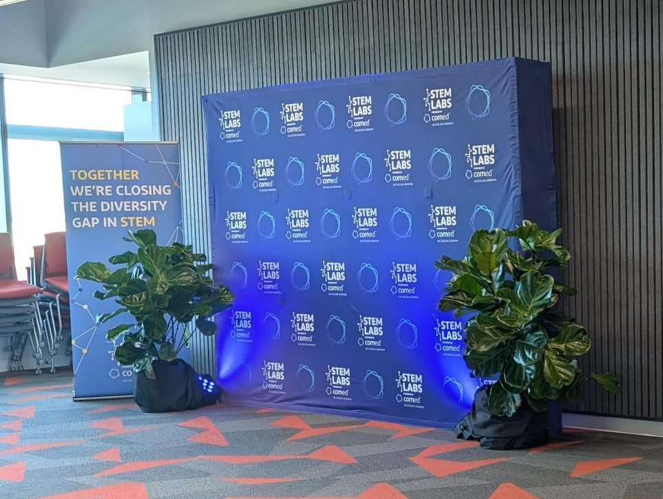 Planting The Seeds Of Diversity